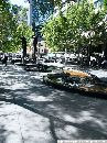cliquez ici pour voir l'image (sydney_108.jpg)