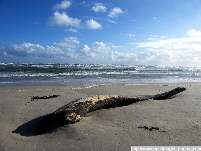 australie_victoria_nelson_007