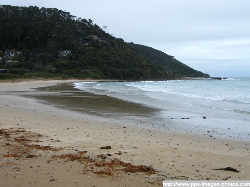 australie_victoria_wye_river_007