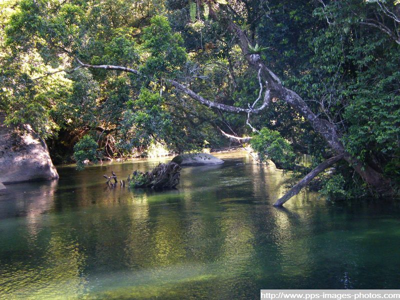 environ_de_cairns_qeensland_australie_017