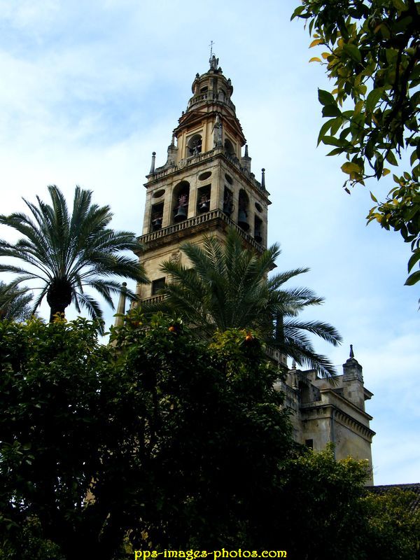 0009_cordoba_55