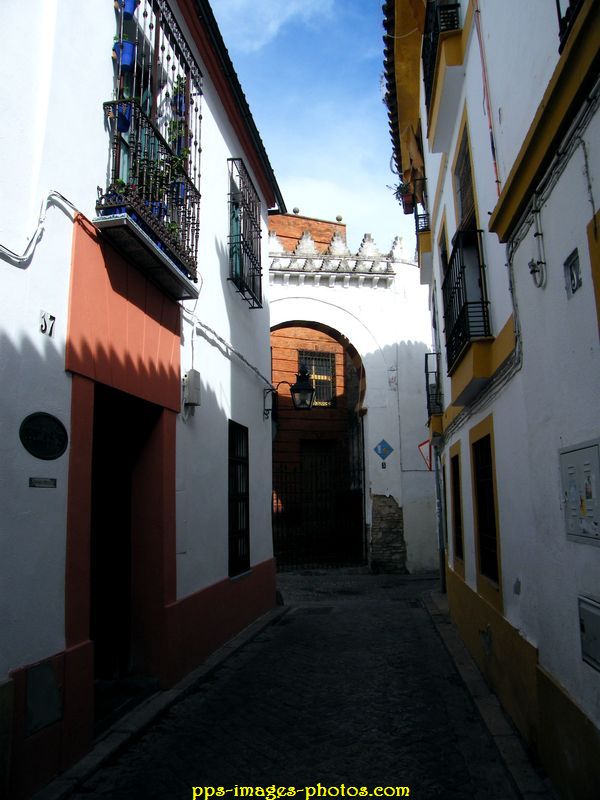 0009_cordoba_58