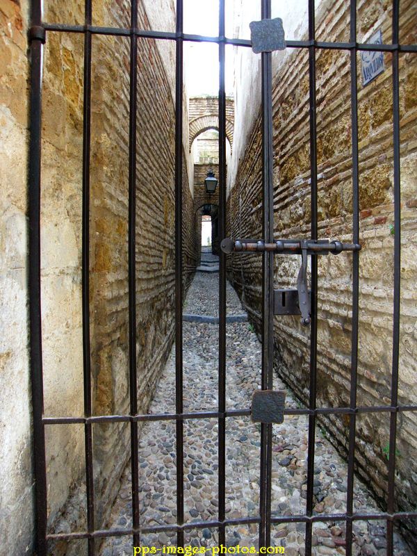 0009_cordoba_61