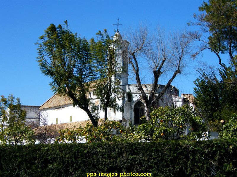 0010_carmona_seville_06