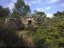 cliquez ici pour voir l'image (capitelle_dans_le_minervois_01.jpg)