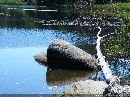 cliquez ici pour voir l'image (lac_du_merle_04.jpg)