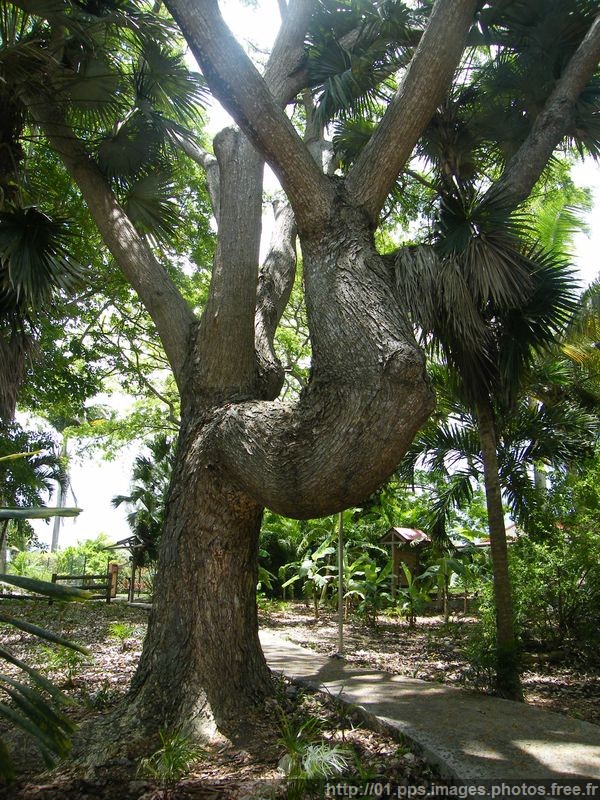 distilerie_damoiseau_06