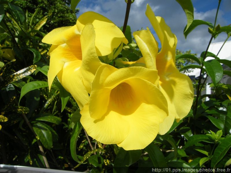 dscf0525