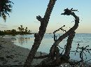 cliquez ici pour voir l'image (plage_grojean_08.jpg)