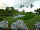 cliquez ici pour voir l'image (plage_grojean_10.jpg)