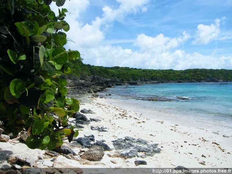 pointe_des_chateaux_08