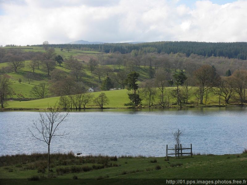 avril_angleterre