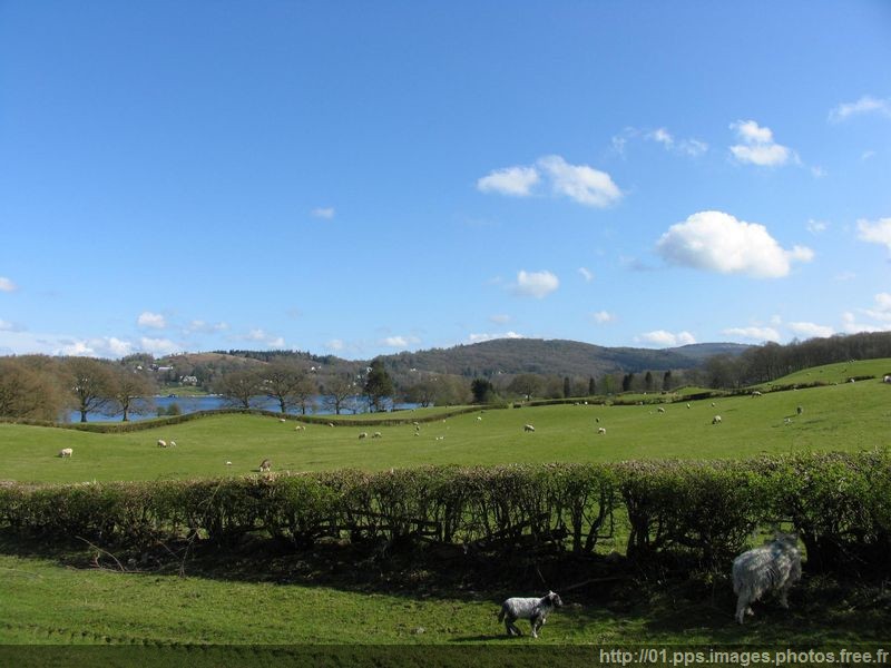 avril_angleterre_01