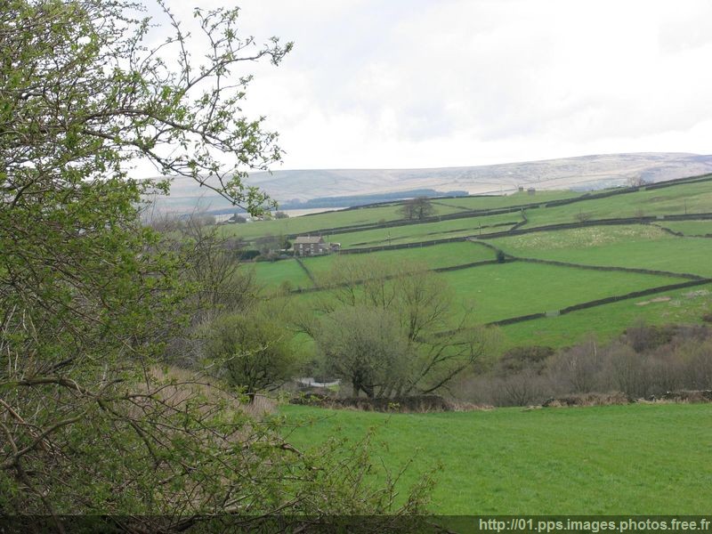 avril_angleterre_02