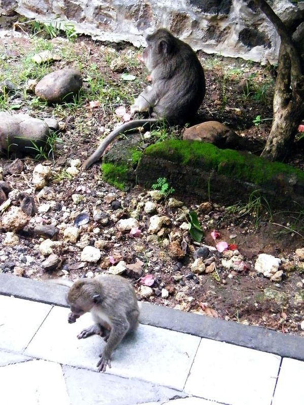 autour_de_legian_bali_00163