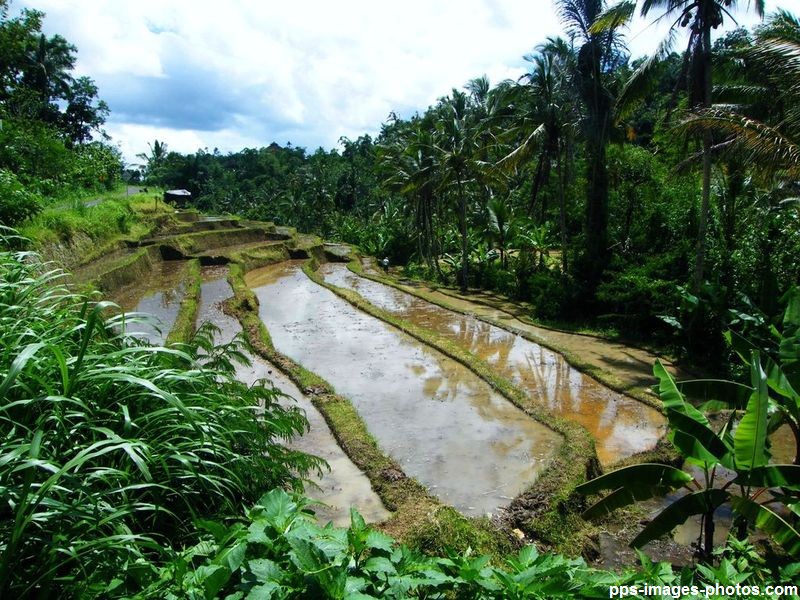 circuit_autour_de_bali_00030