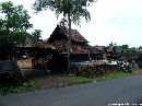 cliquez ici pour voir l'image (circuit_autour_de_bali_00012.jpg)