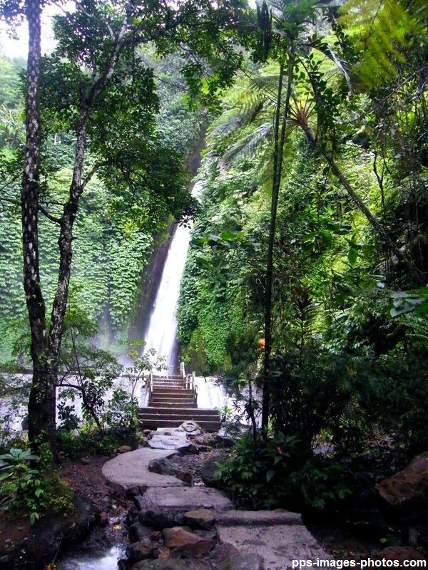 circuit_autour_de_bali_00049