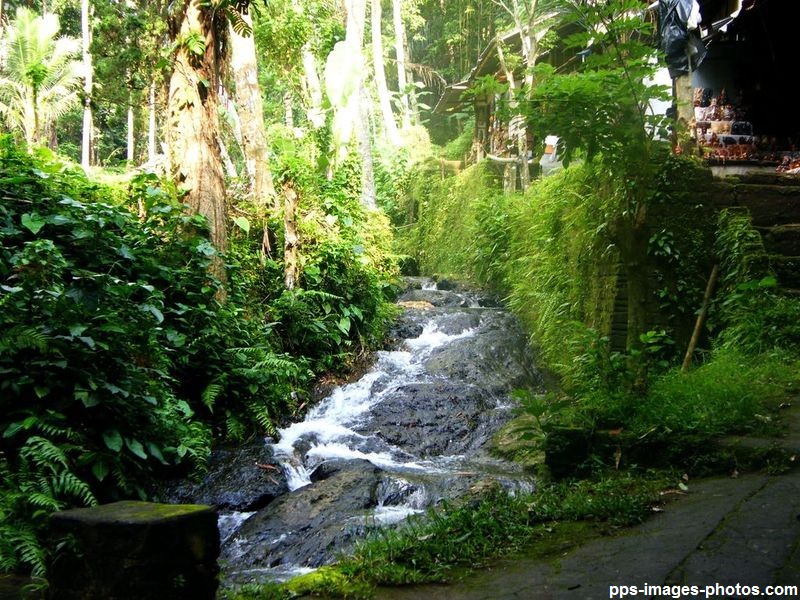 circuit_autour_de_bali_00209