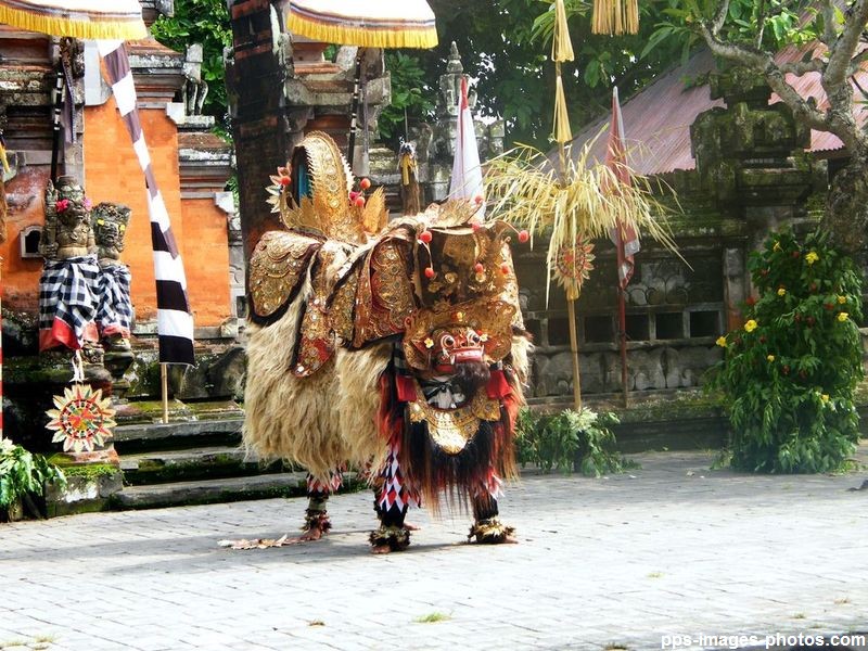 circuit_autour_de_bali_00213