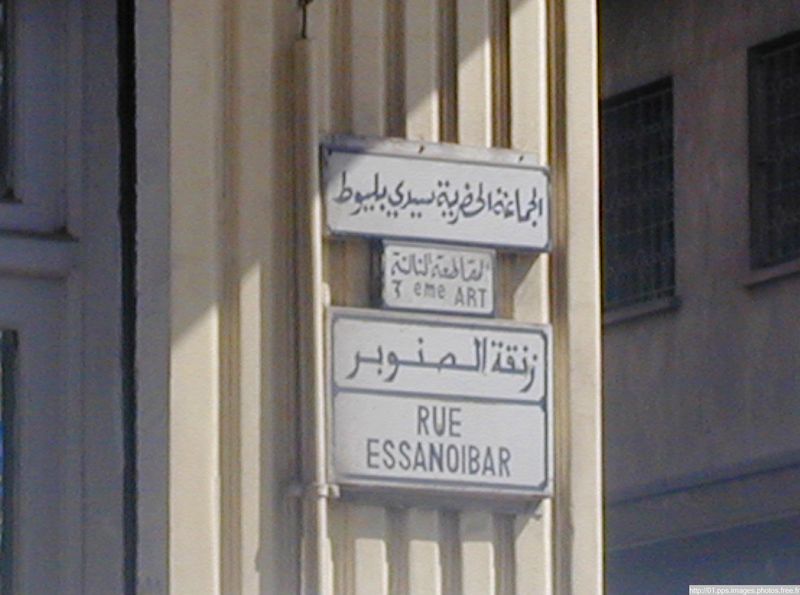 casblanca_52