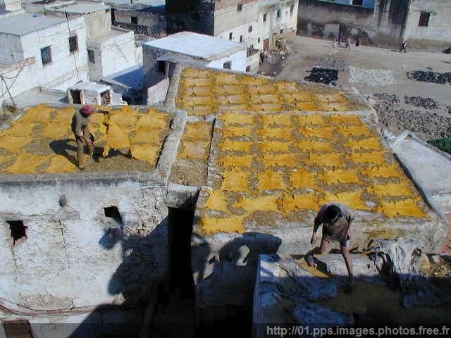 fes_10