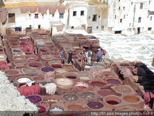 fes_12