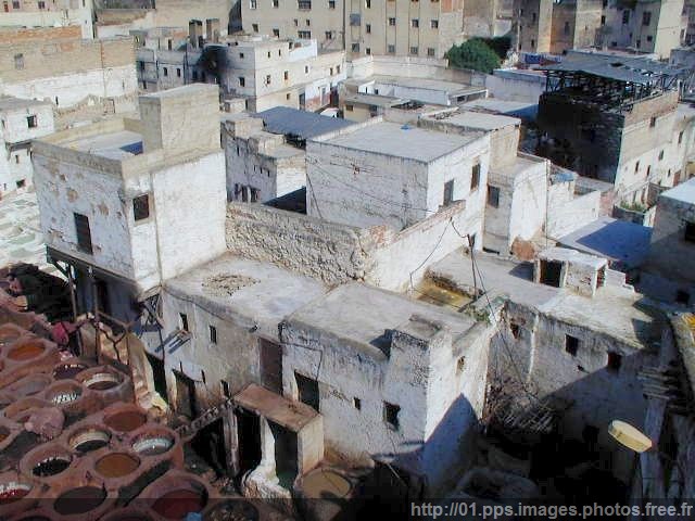 fes_13
