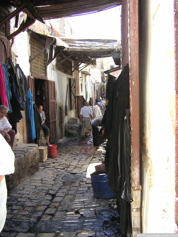 fes_30