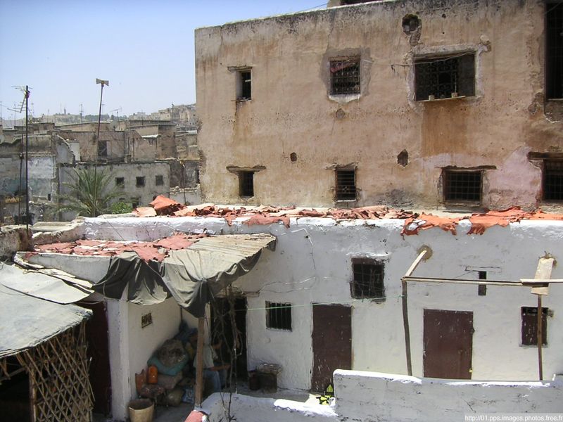 fes_33