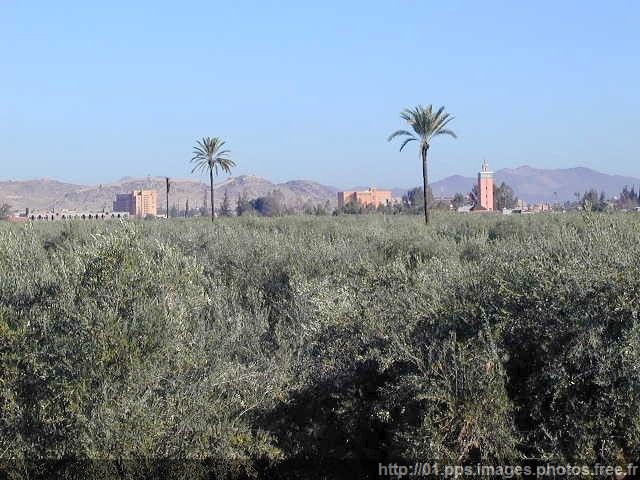 marrakech_03