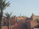 cliquez ici pour voir l'image (marrakech_211.jpg)