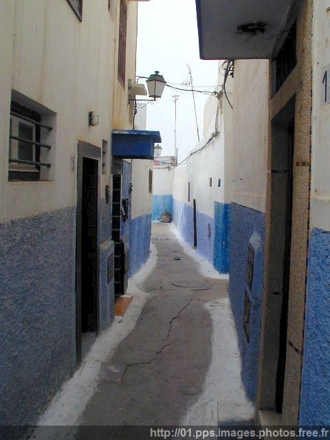 rabbat_07