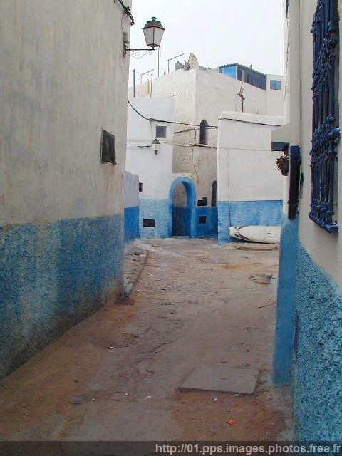 rabbat_08