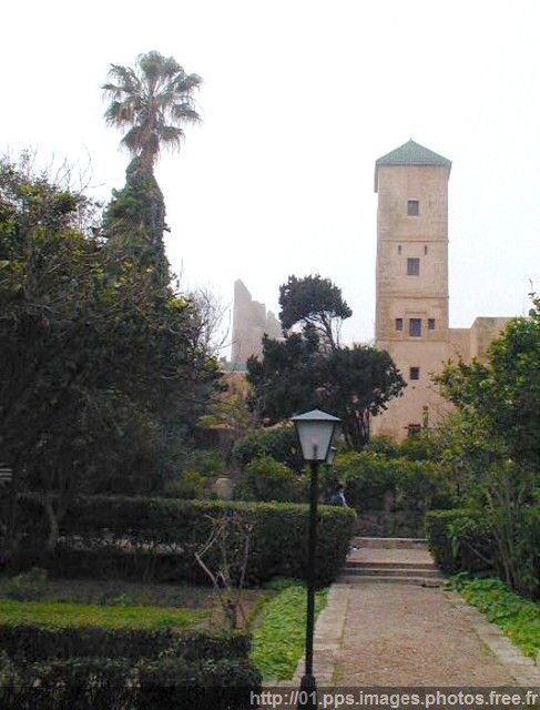 rabbat_15