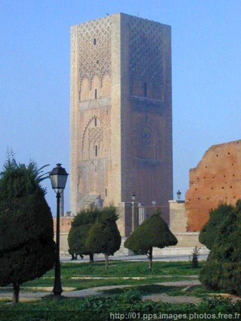 rabbat_24