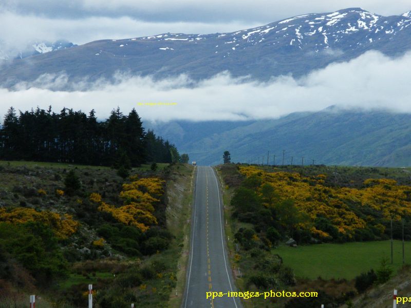 nouvelle_zelandes_036