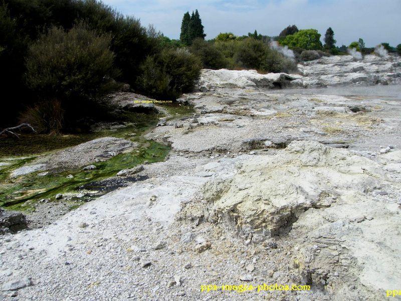 nouvelle_zelandes_rotorua_hells_gate038