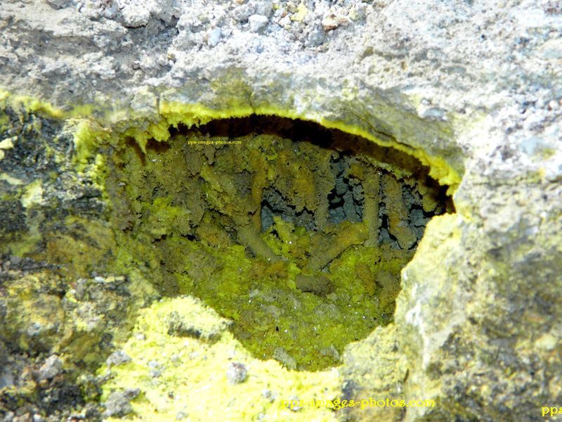 nouvelle_zelandes_rotorua_hells_gate039