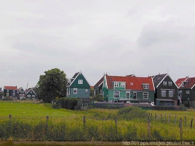 36190059