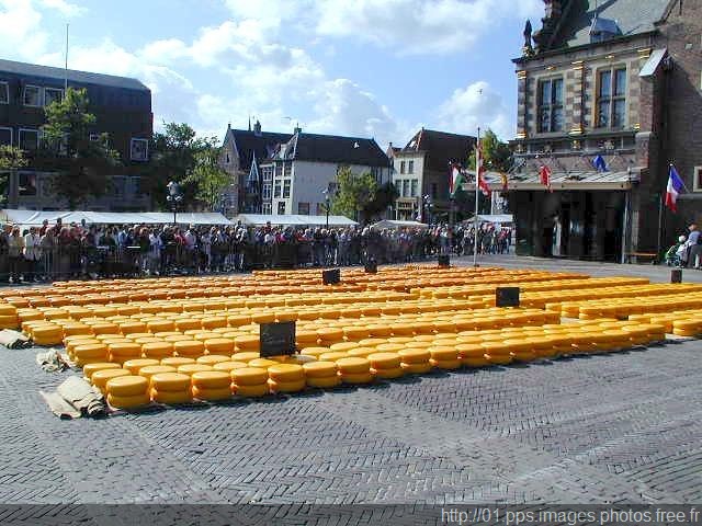 36200066