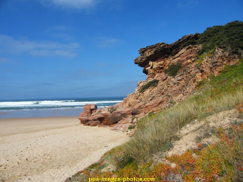 0022_amodo_carrapateira__algarve_05