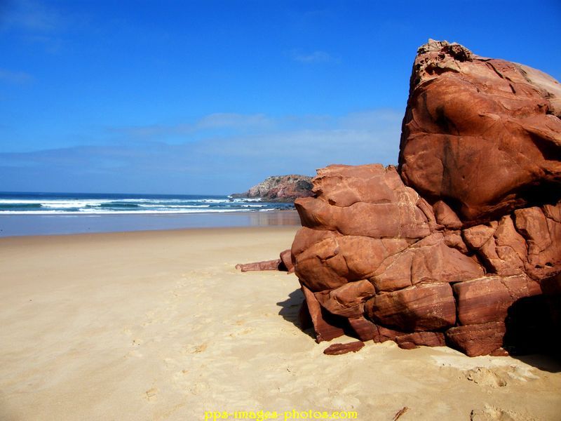 0022_amodo_carrapateira__algarve_07