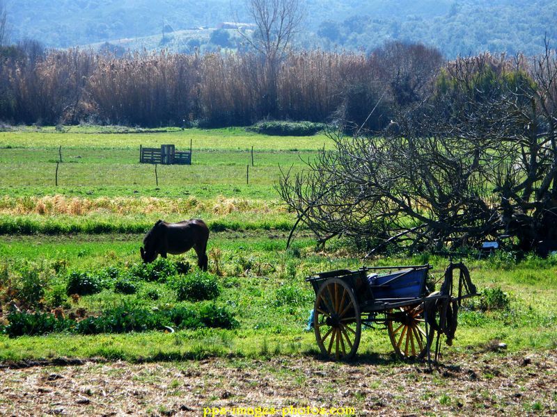 0023_aljezur__algarve_05
