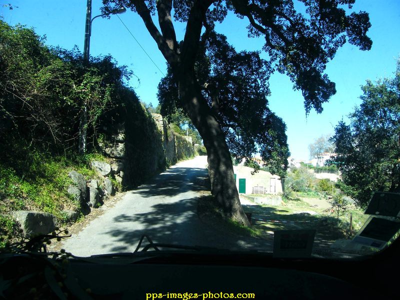 0024_monchique__algarve_03