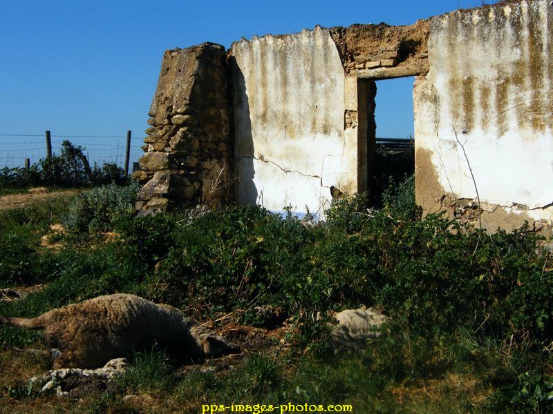 0026_barrage_rocha_38