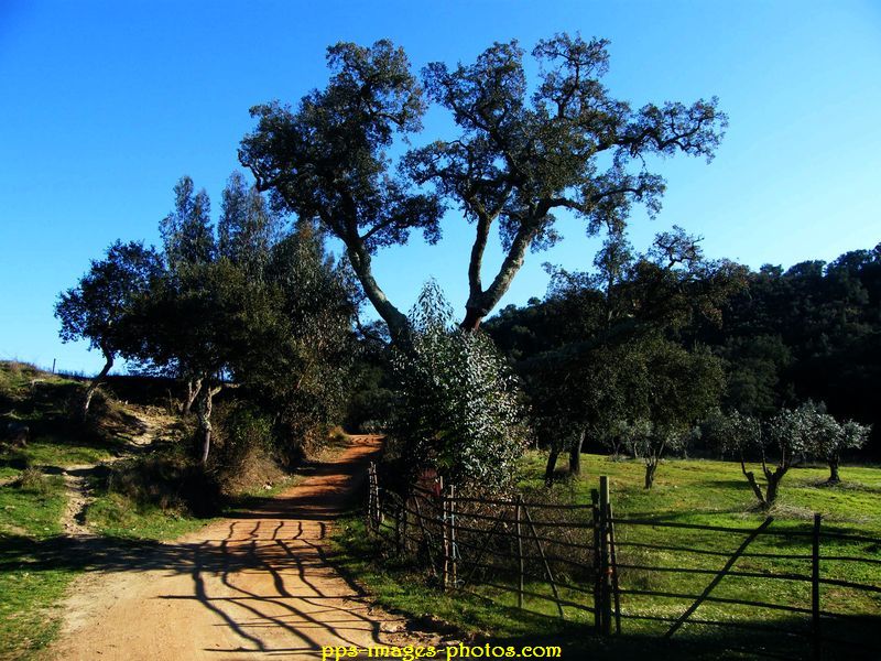 0033_nuit_a_la_ferme_region_beja_05