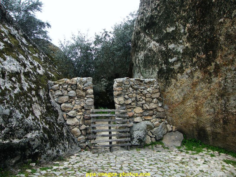 0054_montsanto_22