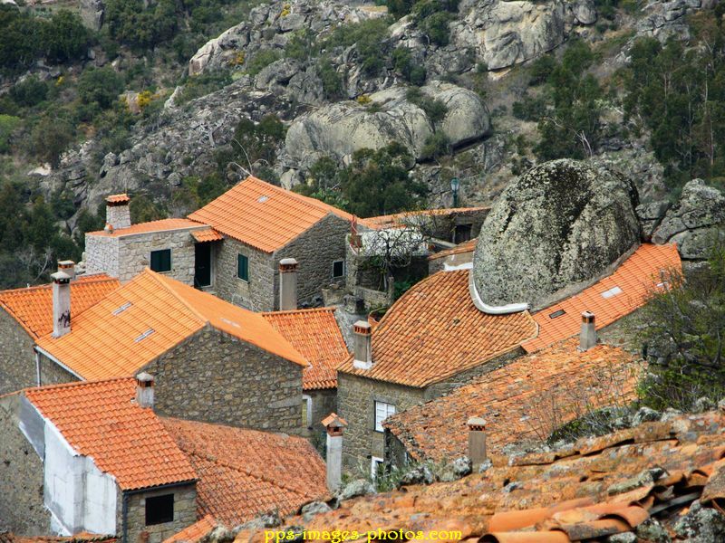 0054_montsanto_26