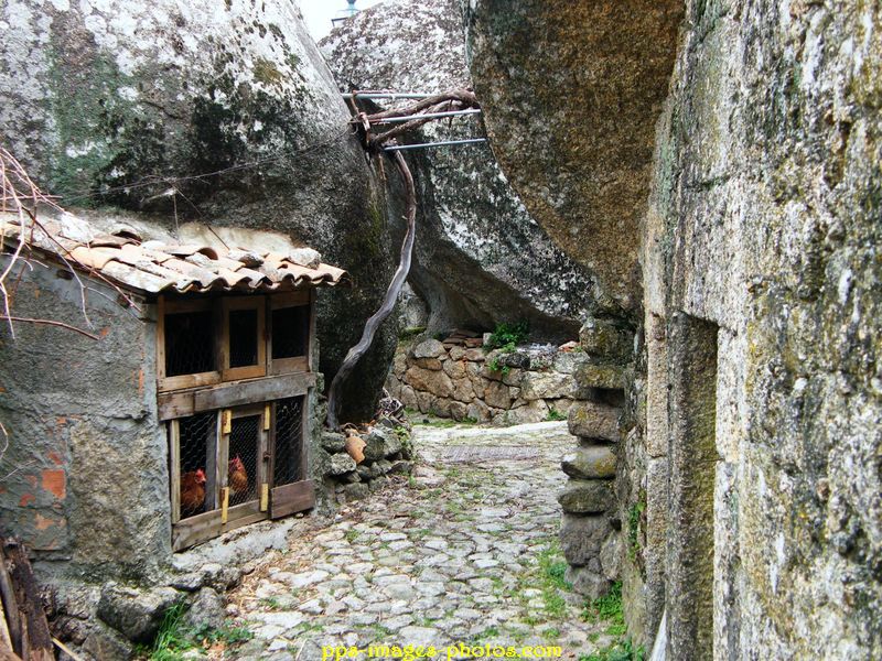 0054_montsanto_40